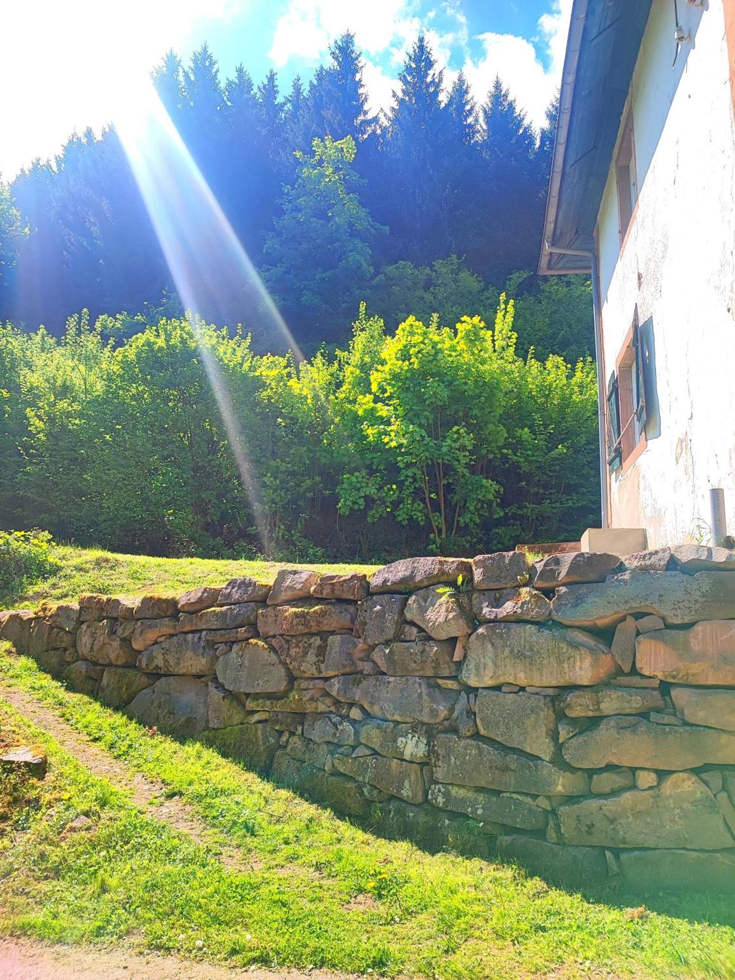 شقة La Demeure Des Forges Grandfontaine  المظهر الخارجي الصورة