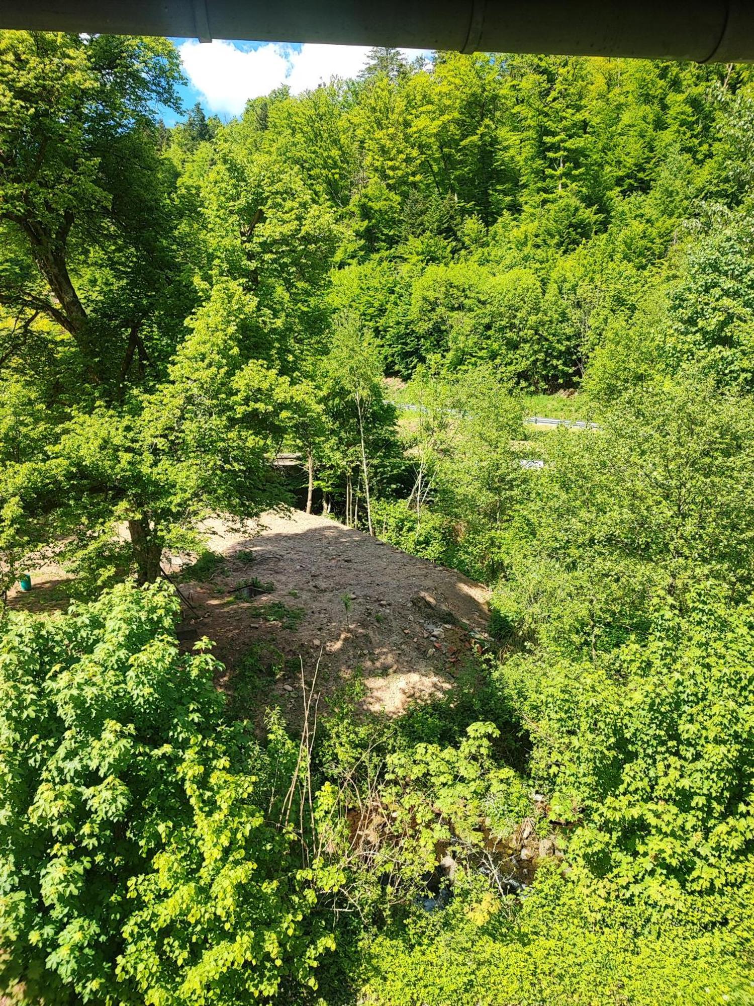 شقة La Demeure Des Forges Grandfontaine  المظهر الخارجي الصورة